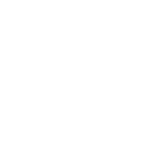 The Launch Mission